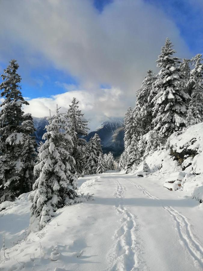 Haus Lenz Ferienwohnungen - Fam Ostermann Puchberg am Schneeberg Exterior foto
