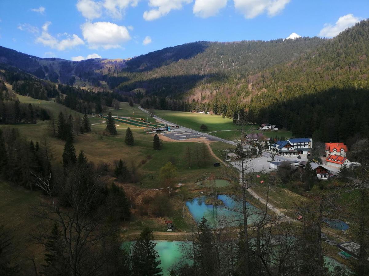 Haus Lenz Ferienwohnungen - Fam Ostermann Puchberg am Schneeberg Exterior foto
