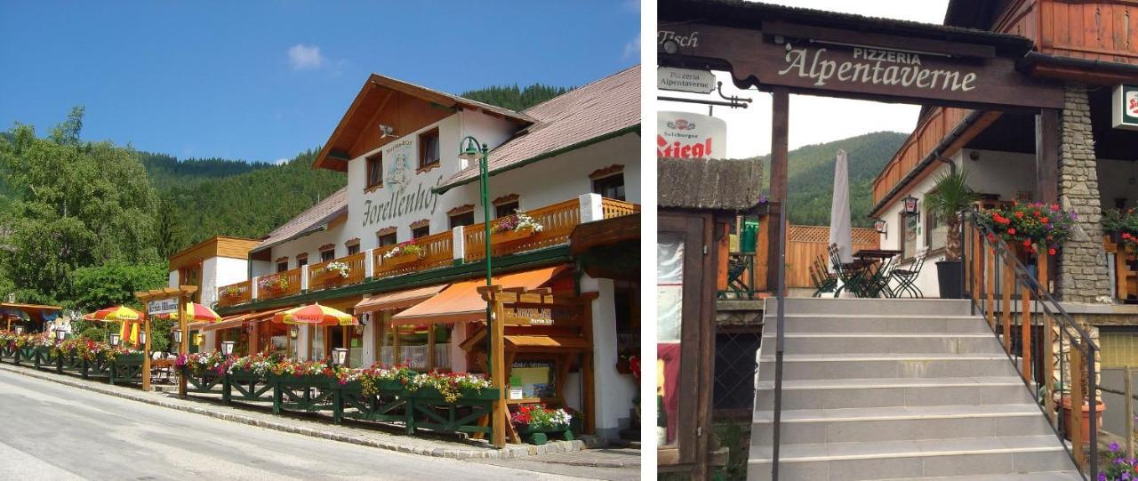 Haus Lenz Ferienwohnungen - Fam Ostermann Puchberg am Schneeberg Exterior foto