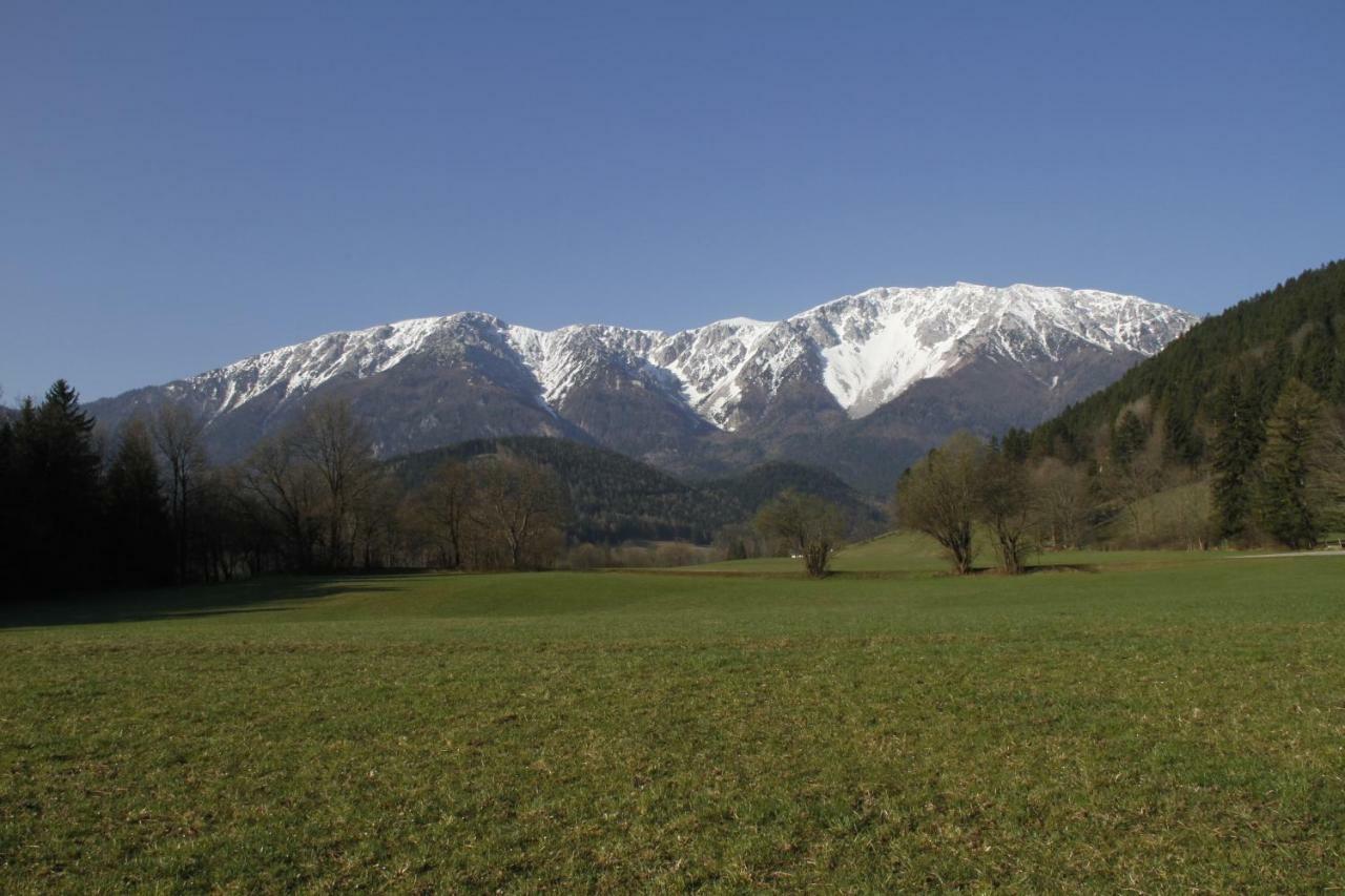 Haus Lenz Ferienwohnungen - Fam Ostermann Puchberg am Schneeberg Exterior foto