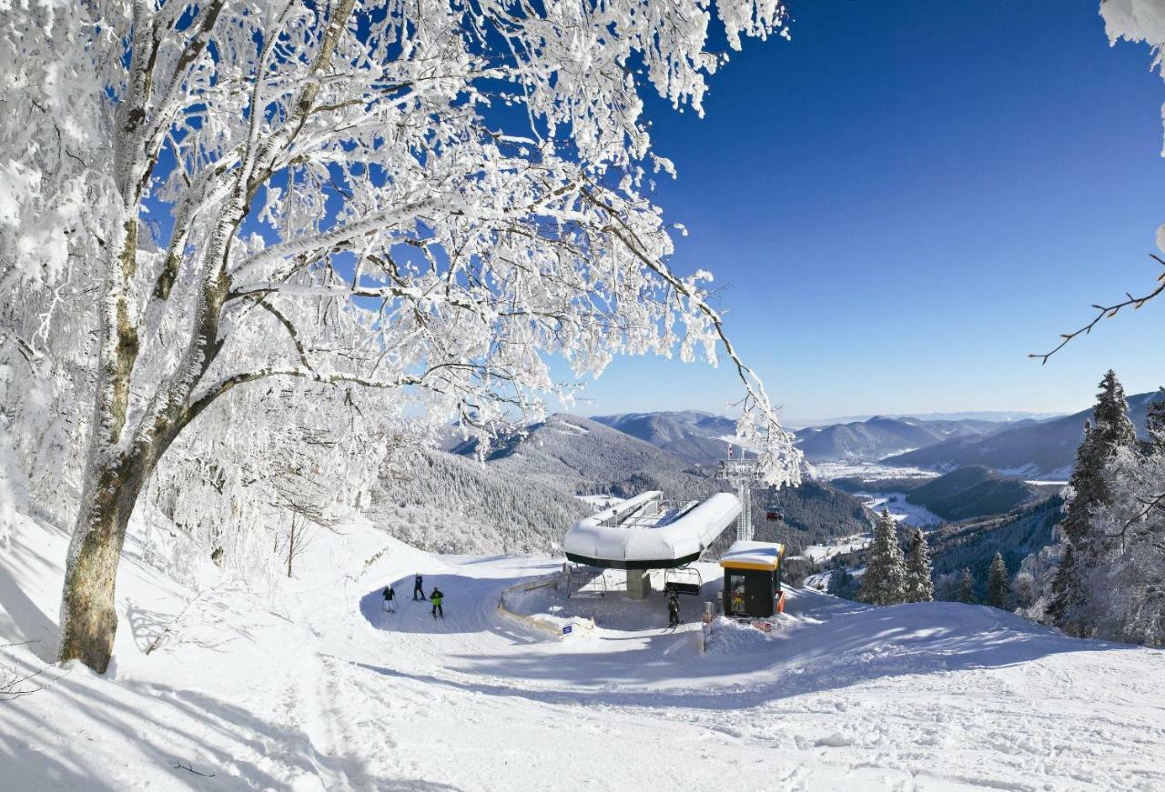 Haus Lenz Ferienwohnungen - Fam Ostermann Puchberg am Schneeberg Exterior foto