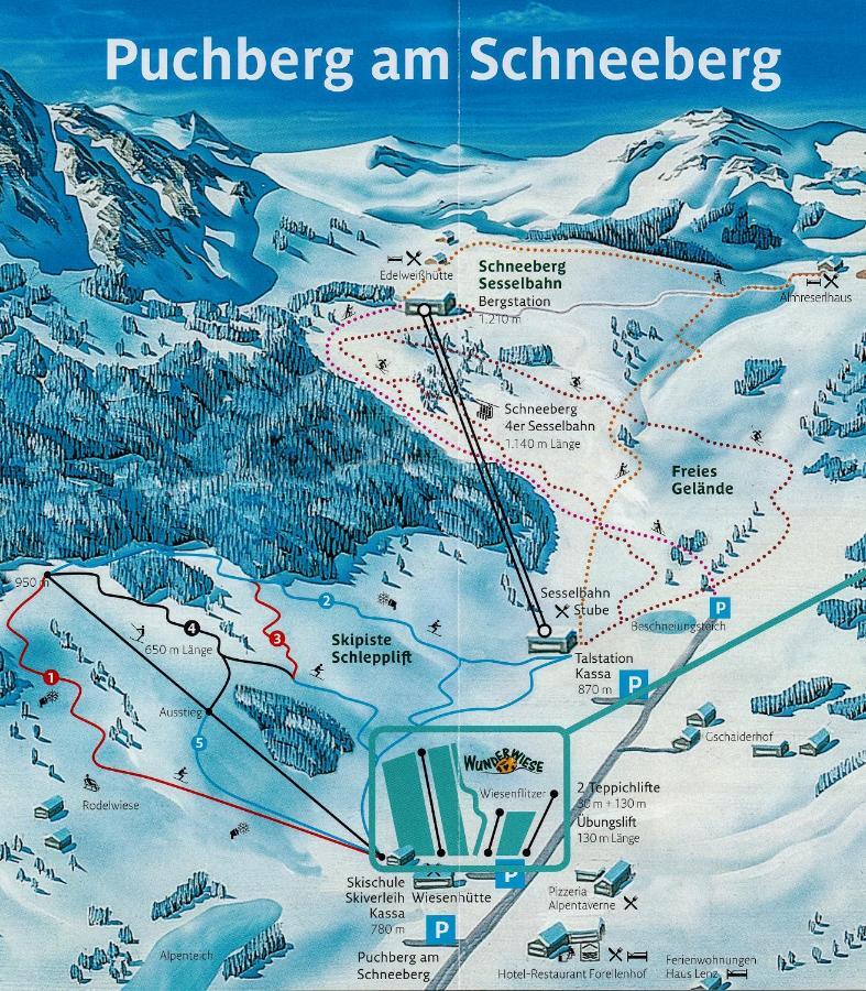 Haus Lenz Ferienwohnungen - Fam Ostermann Puchberg am Schneeberg Exterior foto